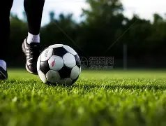 大乐透期号,专家质合分,析推荐,网球比分捷报网,网球赛事平台,网球比赛信息,网球赛事数据,网球赛事中心