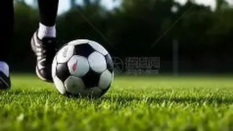 大乐透期号专家质合分析推荐：前区十码预测解读