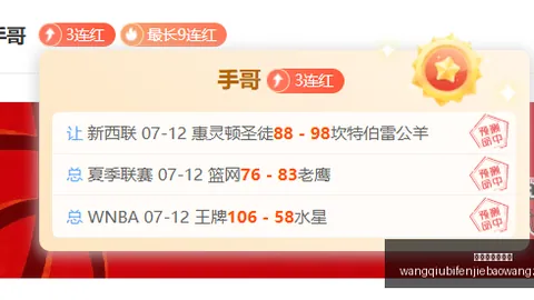 2026夏季联赛深度解析：猛龙对掘金对决精华回顾